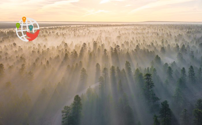 Le aree forestali del Canada