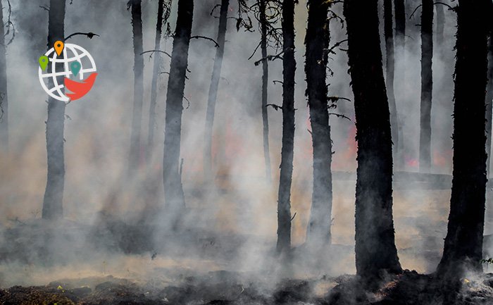 今年的加拿大森林大火可能是该国历史上最具破坏性的大火
