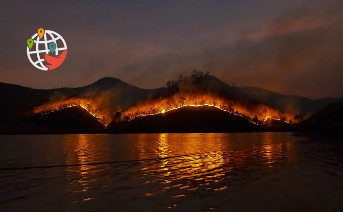 ドニークリークの山火事がブリティッシュコロンビア州史上最大規模に