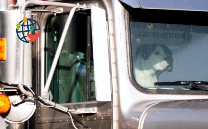 Truckers will no longer be able to obtain a Certificate of Qualification