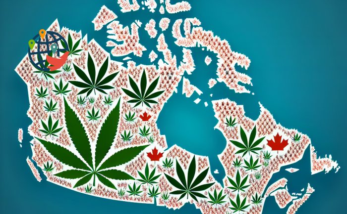 Quelle est la popularité de la marijuana au Canada ?