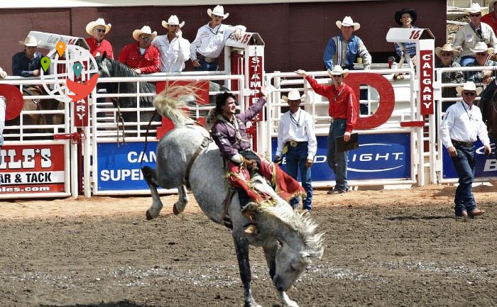 Culture in Calgary