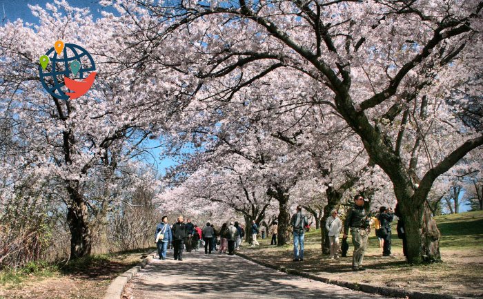 High Park