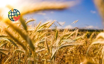 Questa settimana si svolgeranno le selezioni nel settore agroalimentare