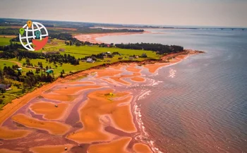 Prince Edward Island führte ein gezieltes Screening-Verfahren durch