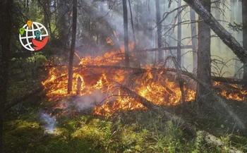 I residenti della B.C. sono pronti ad evacuare a causa degli incendi