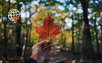 Plan de inmigración de Canadá 2024-2026