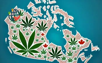 ¿Hasta qué punto es popular la marihuana en Canadá?