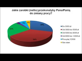 Польша, Варшава: немного о работе