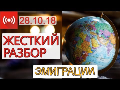 Жесткий разбор вашей эмиграции в прямом эфире от Алекса Павленко!